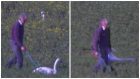 David Thompson, 80, was caught on a helicopter's video camera chasing the majestic birds across his fields of rapeseed