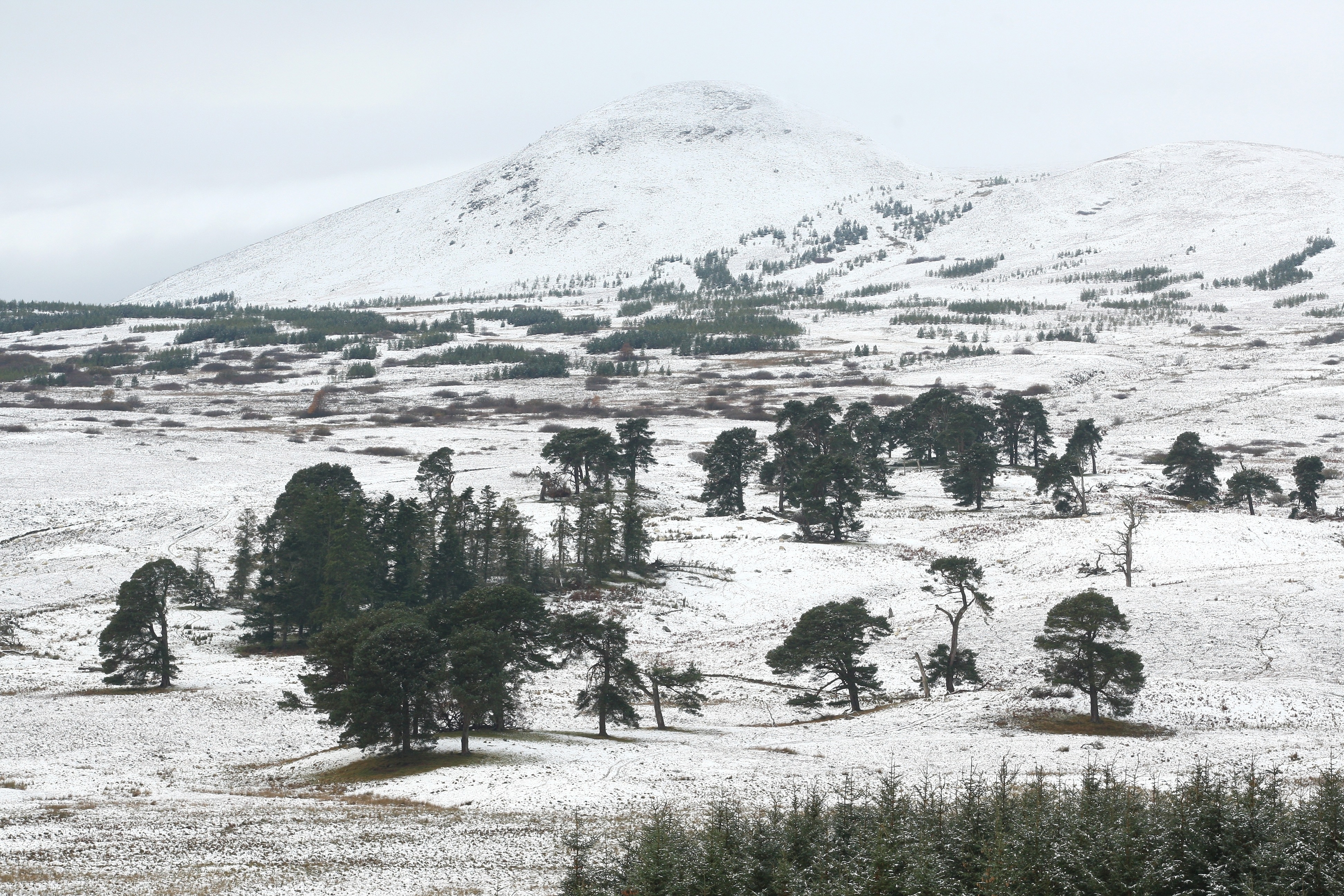 Snow at Wyvis Range and the Heights of Dingwall in Easter Ross. 