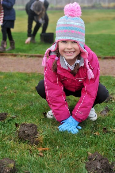 Isla McGregor makes sure her bulbs are firmly planted.