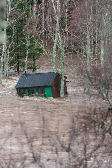 A fishing bothy on the River Dee that is stuck in the trees after being swept away