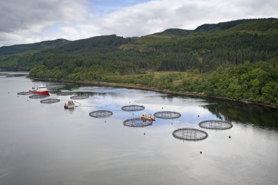 North Moine (Loch Craignish) Lakeland Marine Farm