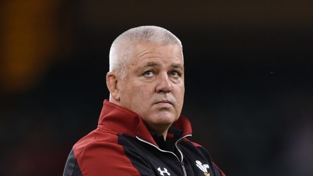 British and Irish Lions head coach Warren Gatland will be in charge of next year’s tour to South Africa.