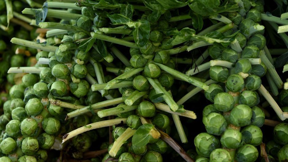 Vegetables, including Brussels sprouts, could benefit from the new technology.