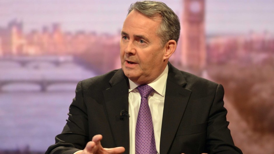 International Trade Secretary Liam Fox on The Andrew Marr Show (BBC/PA)