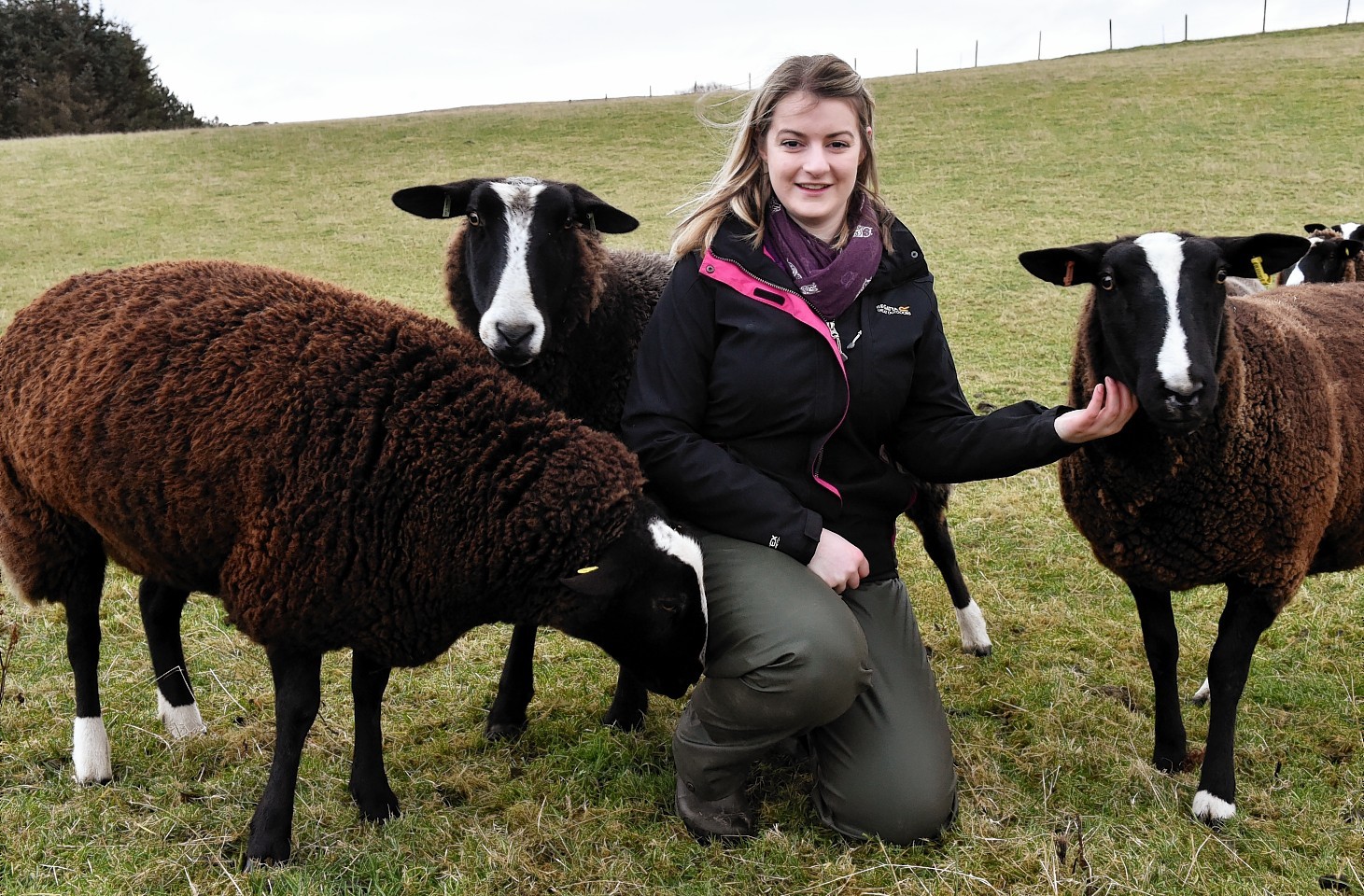 Samantha Stewart with some of her prize-winning sheep.