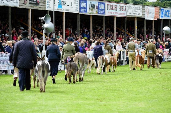 The two-day show attracts more than 30,000 visitors every year.