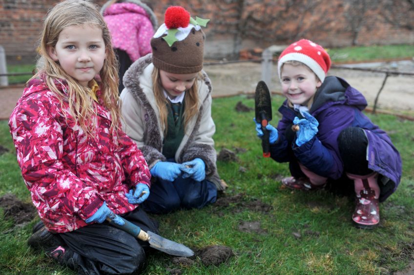 L-R: Lily Lou Ward, Isla Hay, and Laurie Mackenzie.