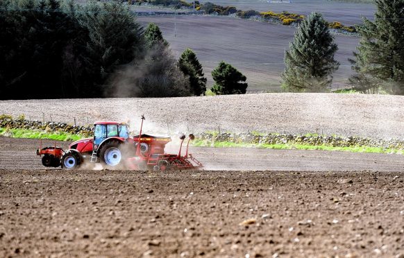 Farmers have sown a similar amount of barley to last year.