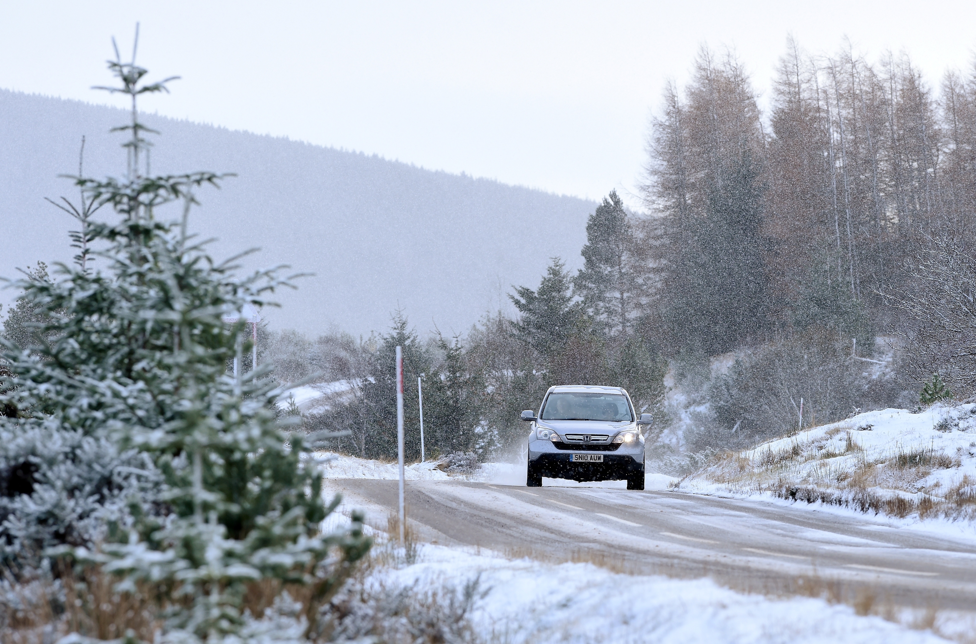 A light dusting of snow on the Struie between Ardross and Ardgay yesterday morning.