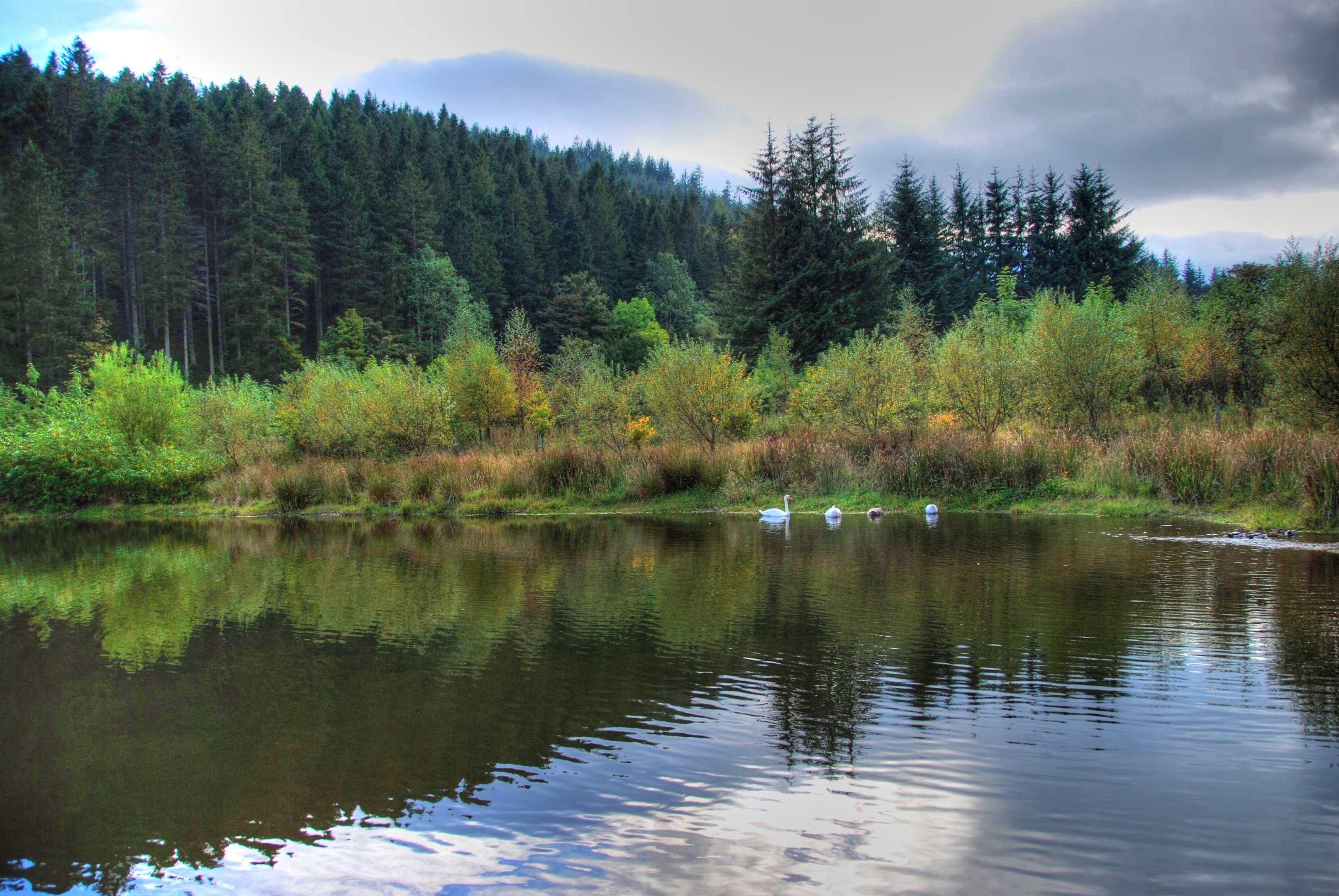 auchenblae_pond-hdr-1