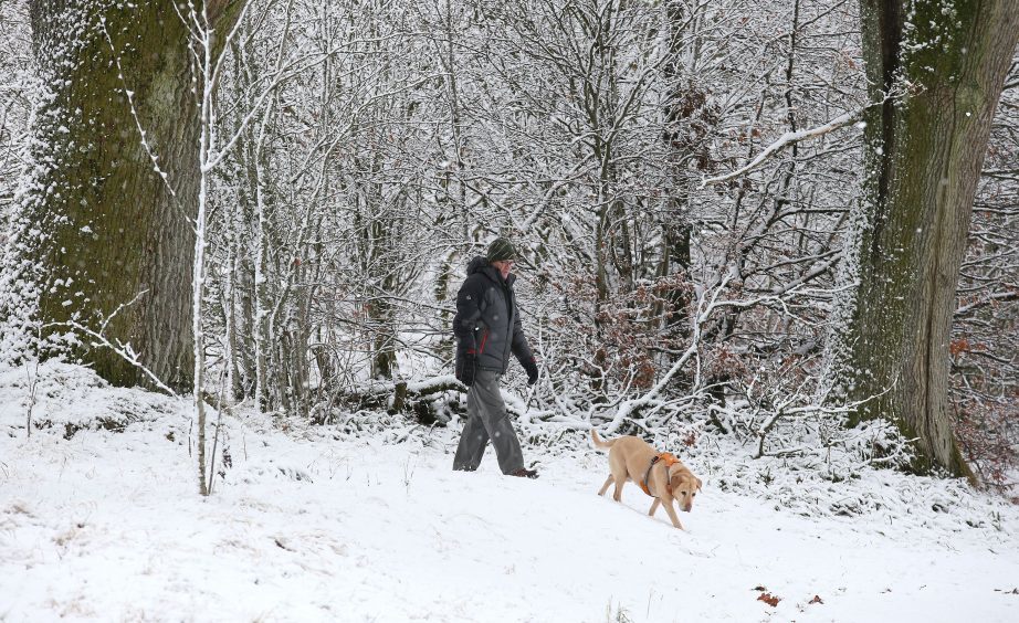 A man walks a dog in the grounds of Braco Castle in Perthshire