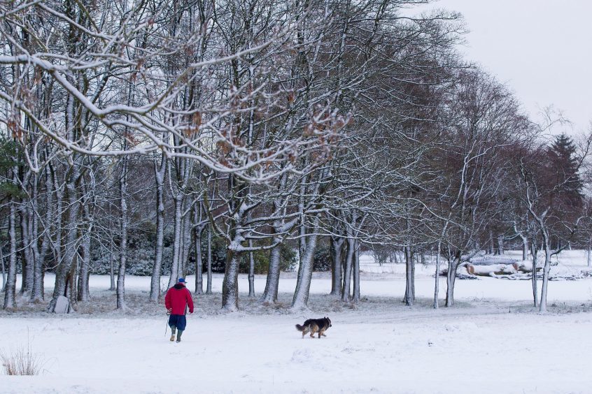 Dog walkers in Polkemmet Country Park, Bathgate