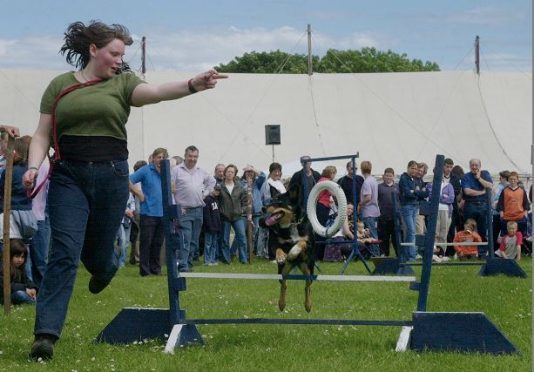 Newtonhill’s Skateraw Fair committee is seeking more helpers to bring the event back in 2017.