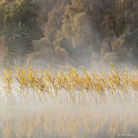 Autumn colours On Loch Pityoulish by Nick Hanson