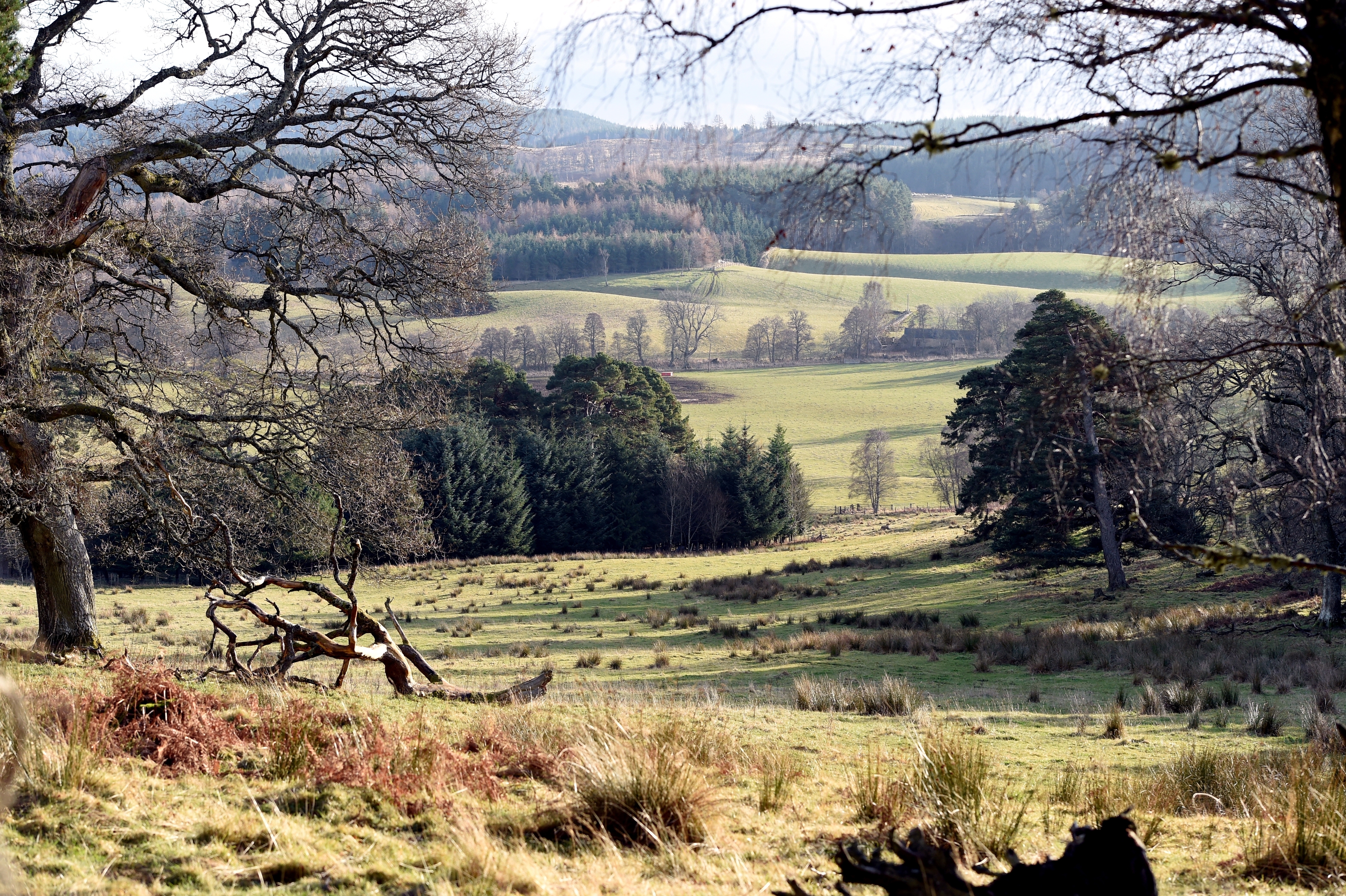 Ballogie estate near Banchory 