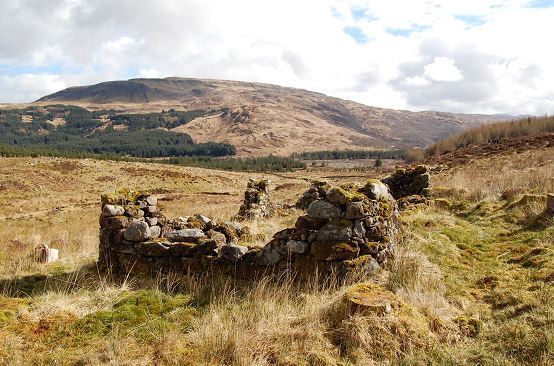 Remains of a colony house at Bennachie.