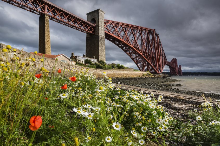 The Forth Bridge by Dougie Cunningham