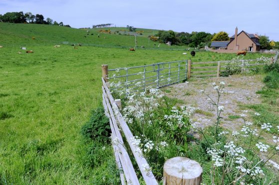 The Greenside site at Rosemarkie