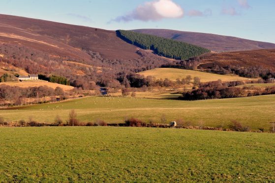 Glenlivet is one of four estates on the Crown Estate in Scotland.