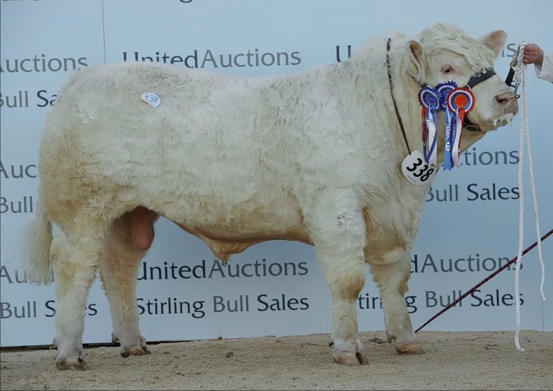 Gretnahouse Lord sold for 25,000gn