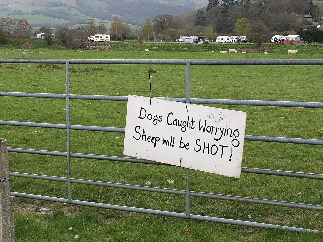 Farmers have the right to shoot dogs found worrying livestock.