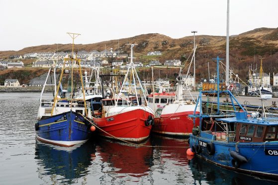 Mallaig Harbour