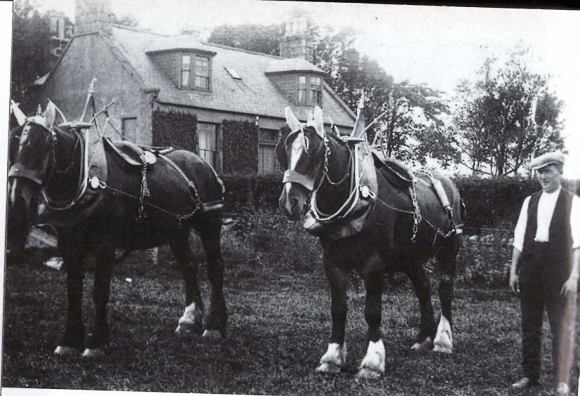A pair and the horseman at Tullyeve at Udny in the 1920s
