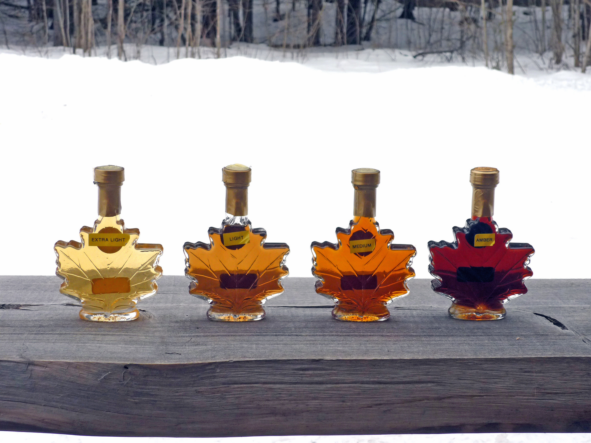 different grades of Maple Syrup