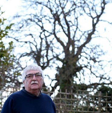 David Johnston with a view of the trees from his back garden