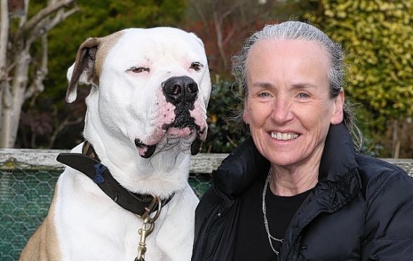 Linda Haines and Bronco.