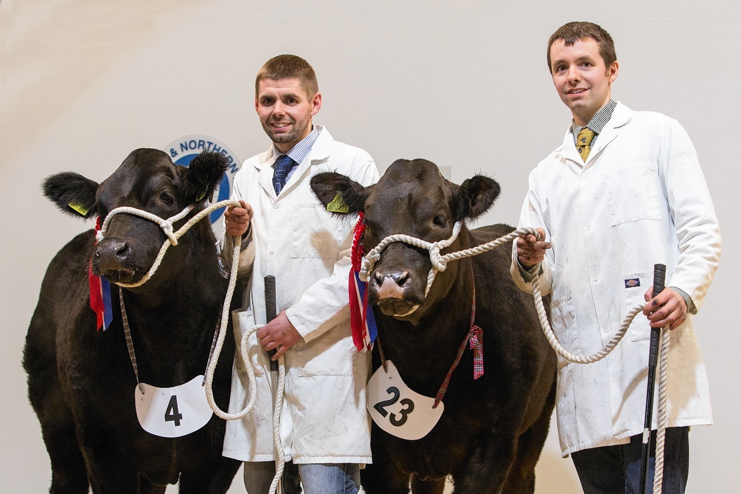 Brothers Grant (left) and Ally Fraser of Easter Clune, Nairn with the champion bullock (left) and heifer, which went on to stand overall champion.
