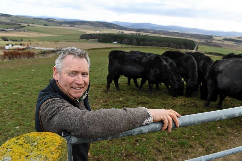 Ken Howie with some of his cattle.