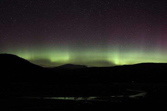 The Northern Lights from Mar Lodge Estate. Picture: Kirsten Dallas.