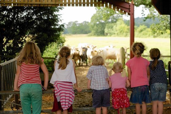 This year's Open Farm Sunday runs on June 10