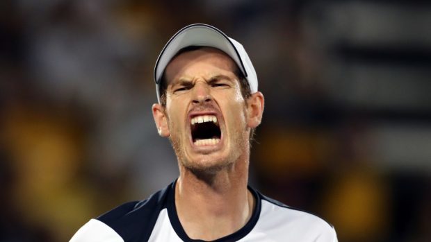 Andy Murray has pulled out of Wimbledon.