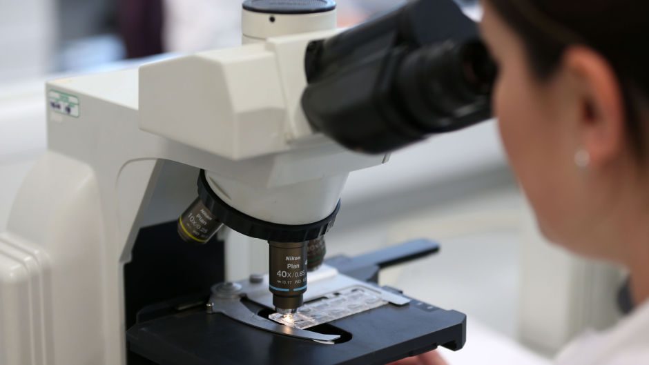 Clinical trial uptake for cancer has fllen by 95% during the coronavirus pandemic.