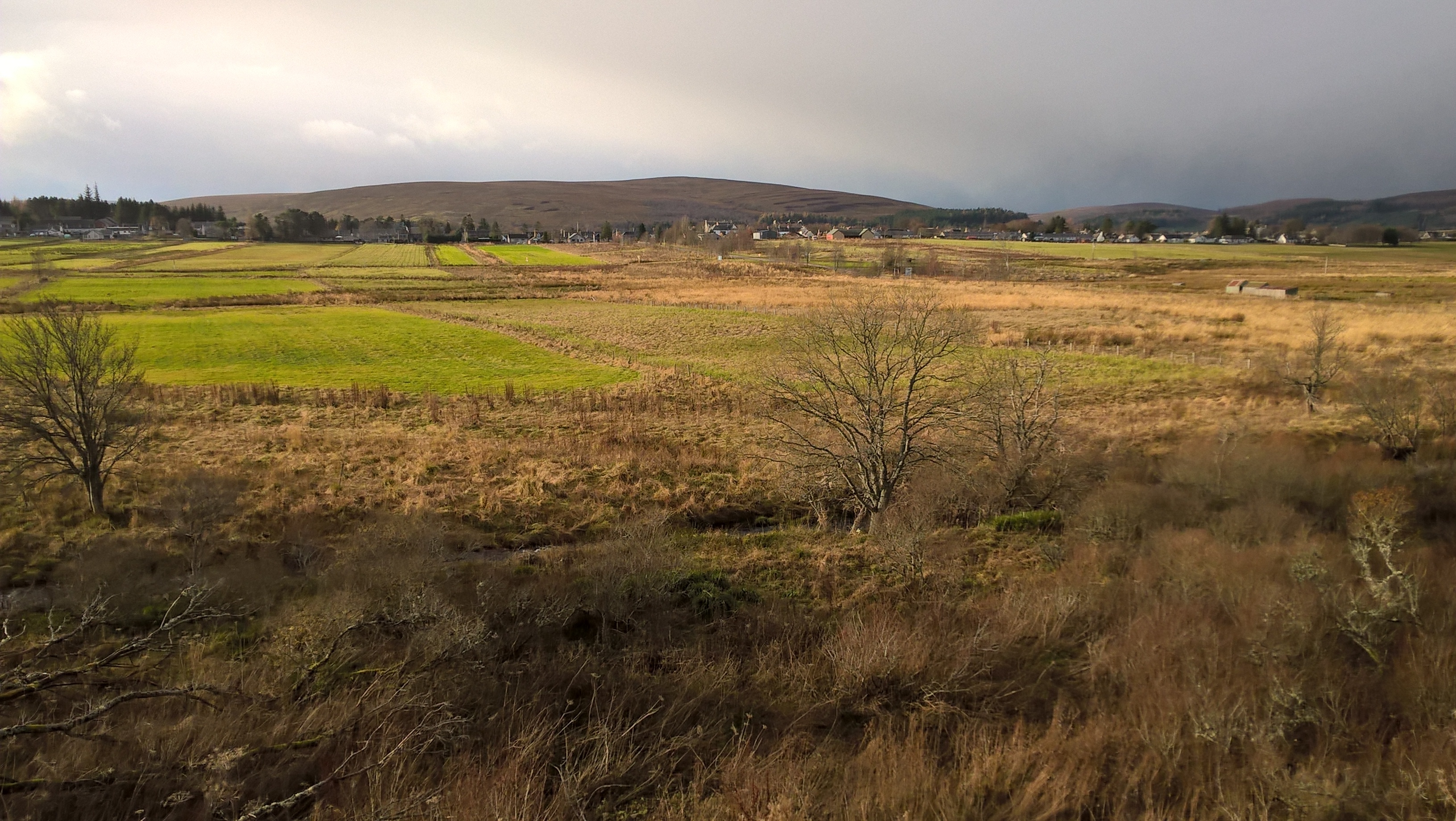 Wetlands near Tomintoul have become synonymous with the sights and sounds of wading birds.