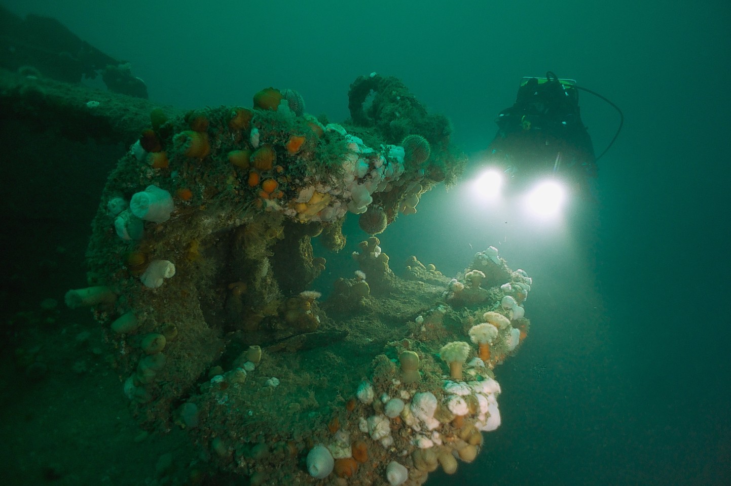 Scuba diver surveys WW1 wreckage in Scapa Flow.