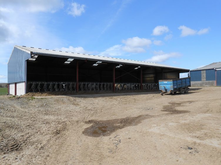 One of the sheds at Stillswells