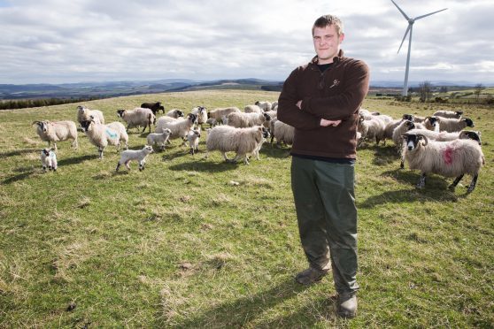 Sheep farmer Lawrence Hensley who had nine lambs killed by a dog near Aberchirder