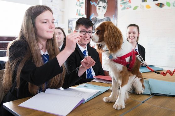 Victoria Goth, 15,  with Arnie the King Charles Spaniel