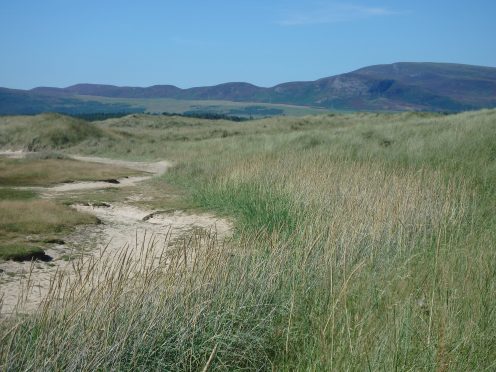 Coul Links, near Embo.