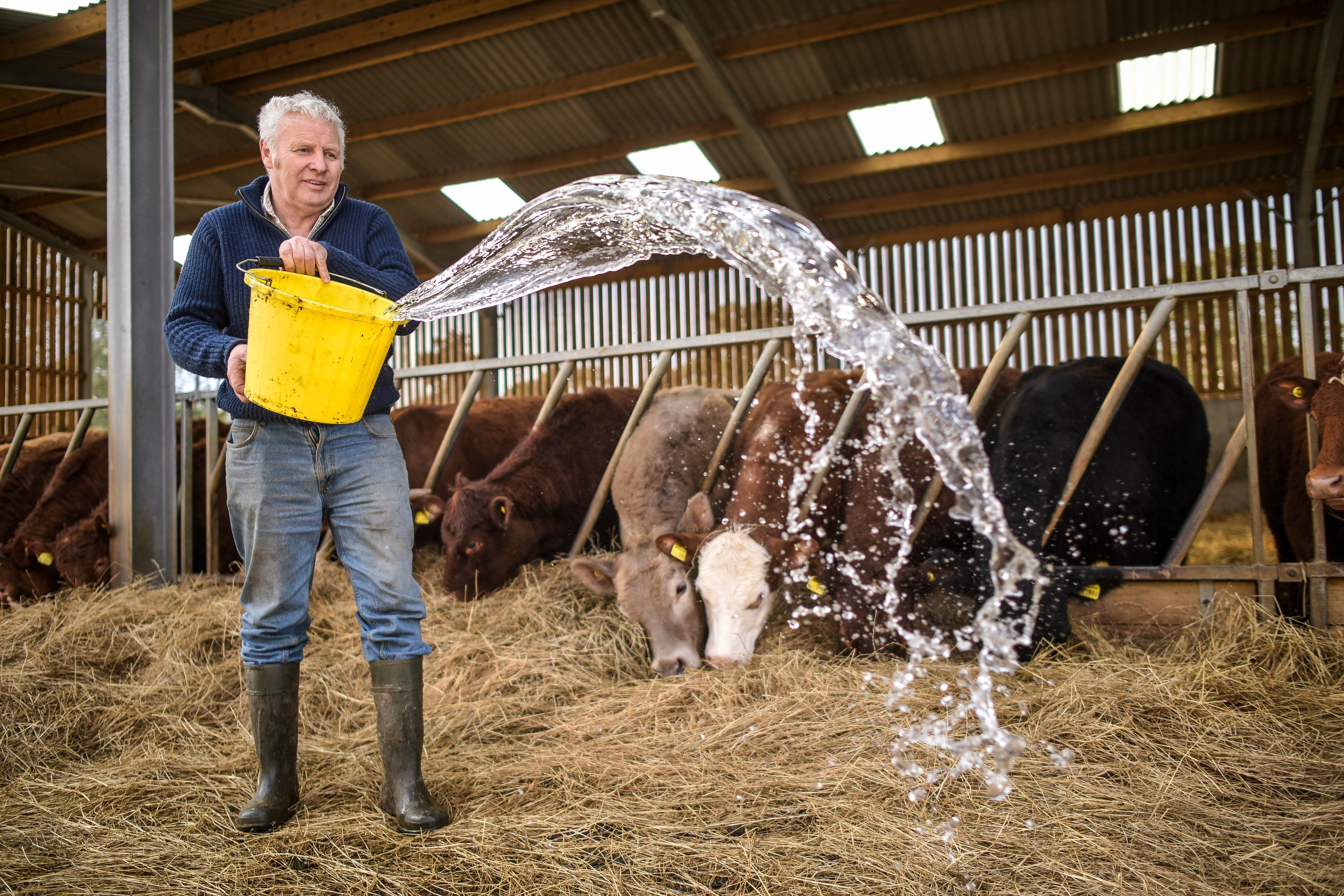 Farmer John Kirk is pictured throwing away water at his farm in Nethy Bridge