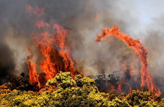 The public has been warned about fire raising in the north-east