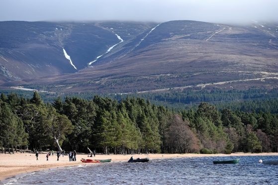 Loch Morlich beach