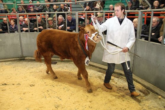 Mark Robertson, pictured, will judge the Huntly show.