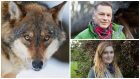 Lisa Marley's Project Wolf has won support from Chris Packham