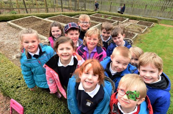 Youngsters at Craigievar Primary School are taking over the castle's kitchen garden. (Picture: Jim Irvine)