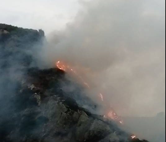 Fire at cliffs between Portknockie and Cullen