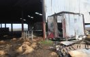 The aftermath of the fire at farm near Auchnagatt